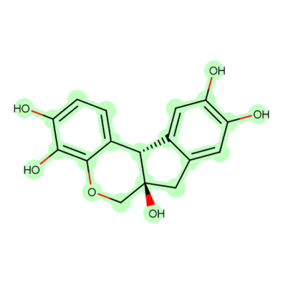 هماتوکسیلین (Laboratory-Plastic)  نوترون  گرید آزمایشگاهی