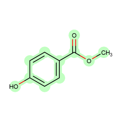 متیل پارابن (USP-Glass)  نوترون  گرید آزمایشگاهی 1 کیلوگرم
