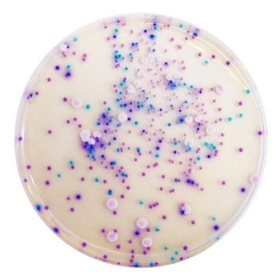 416df1a3-7306-46fb-93ed-609baa9c67a9