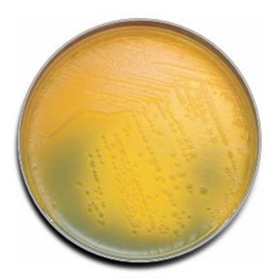 4c71dbce-328a-4b5a-99bd-679bdaef7062