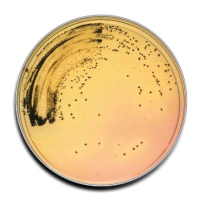 6b605317-7375-4189-aae8-562e0873653b