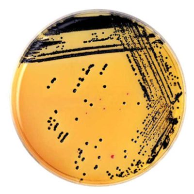 ce5cf8a1-7558-4e6c-880b-d6050c938d80