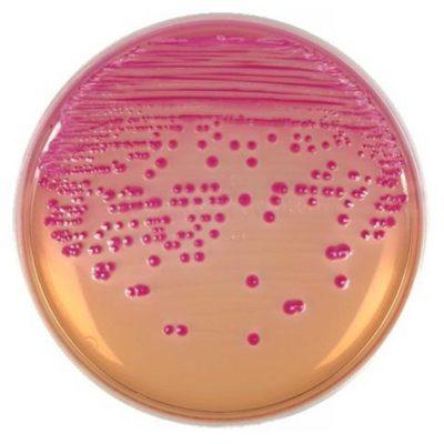 d603998e-5924-4a82-b63f-772073299e18