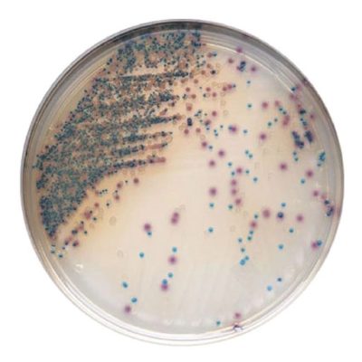 f47d14e7-bf4a-466e-a00a-fe658df0cc2a