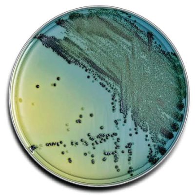 ff19da87-505c-42a8-bbd0-45186c60a179